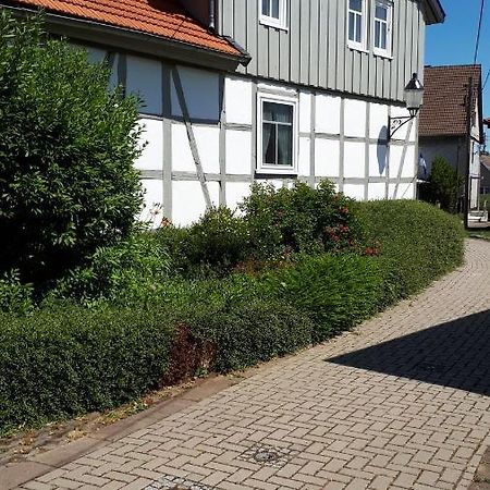 Apartament Feriendomizil Annette'S Scholle Sondershausen Zewnętrze zdjęcie